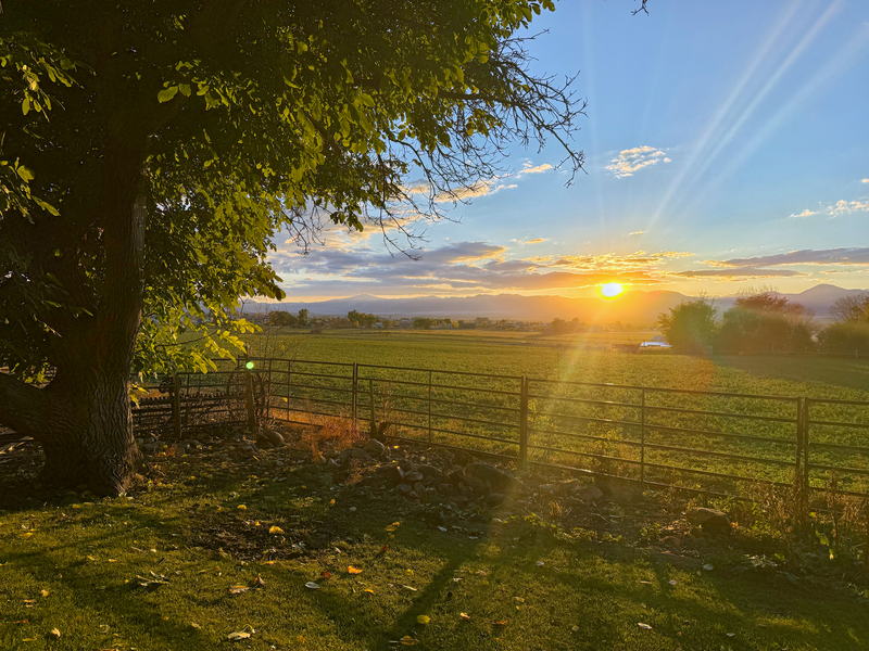 Horse Friendly Home in Gorgeous Genola property image