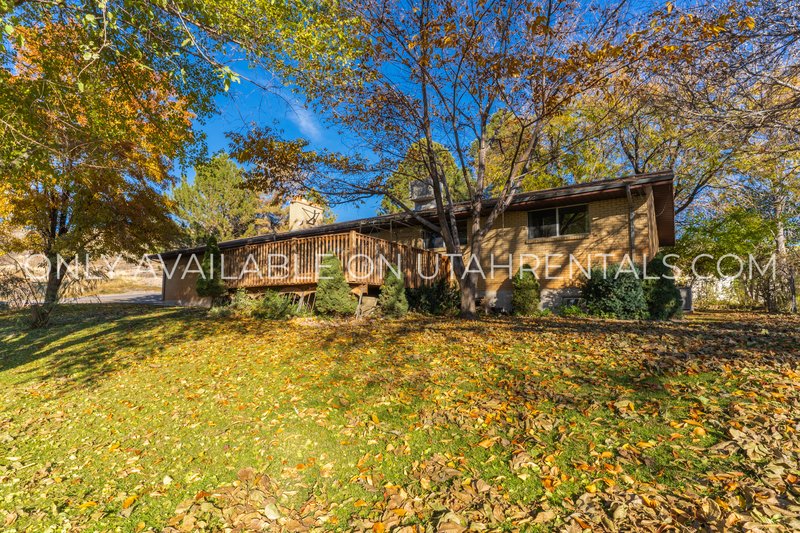 Horse Friendly Home in Gorgeous Genola property image