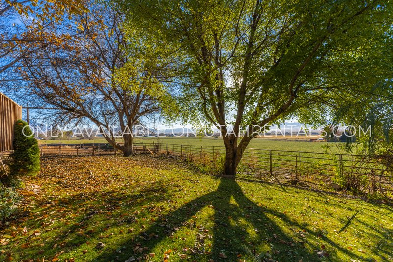 Horse Friendly Home in Gorgeous Genola property image