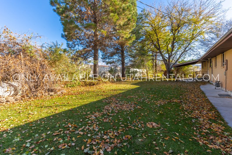 Horse Friendly Home in Gorgeous Genola property image