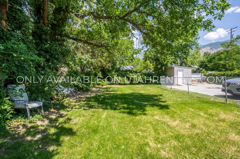 Nice Large Basement unit in Springville property image