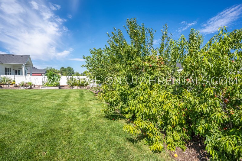 Large Mapleton Home, Negotiable rent, Short-term lease options available property image