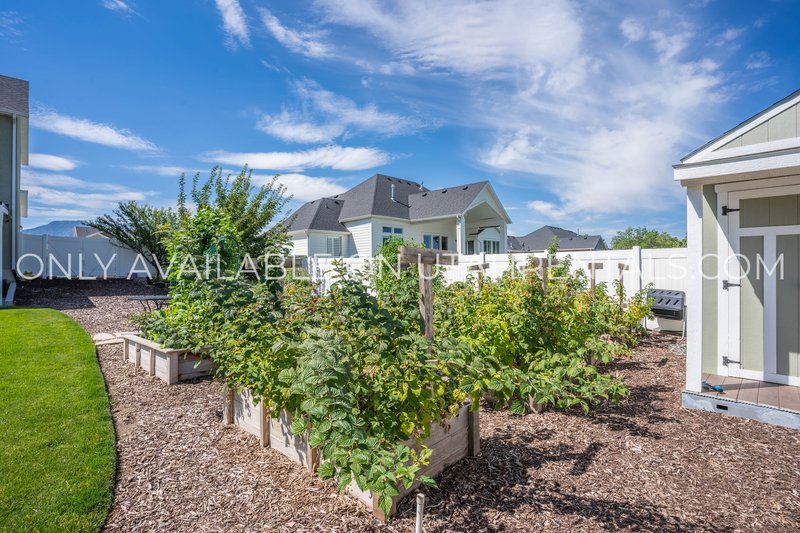 Large Mapleton Home, Negotiable rent, Short-term lease options available property image