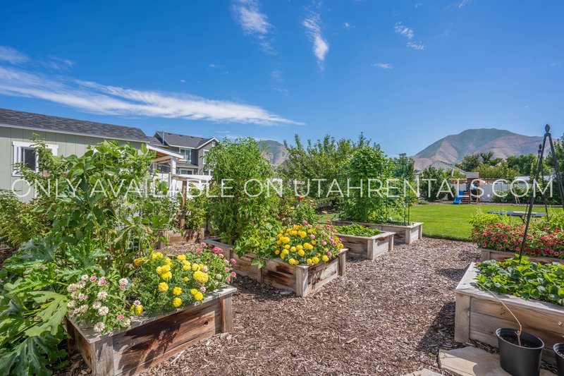 Large Mapleton Home, Negotiable rent, Short-term lease options available property image