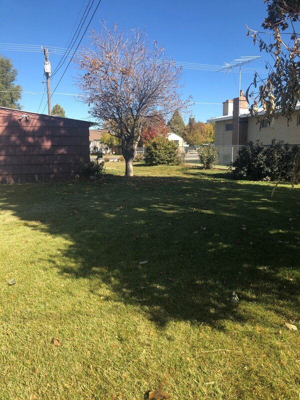 Adorable House for rent in Payson property image