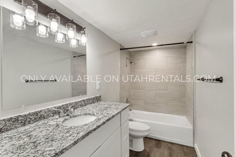 Renovated 2 bed 1 bath apartment property image