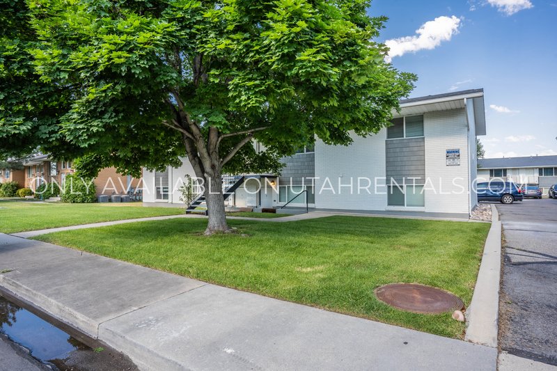 Renovated 2 bed 1 bath apartment property image