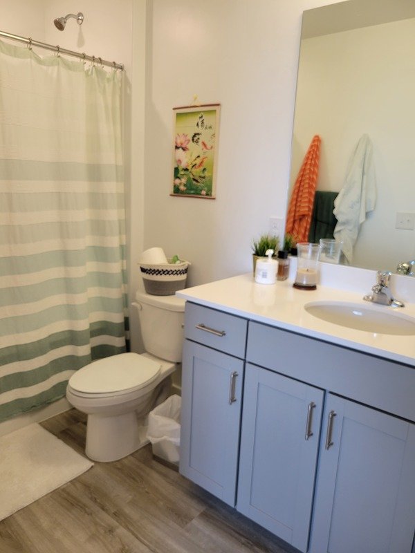 Santaquin 3 bed, 2.5 bath house! property image