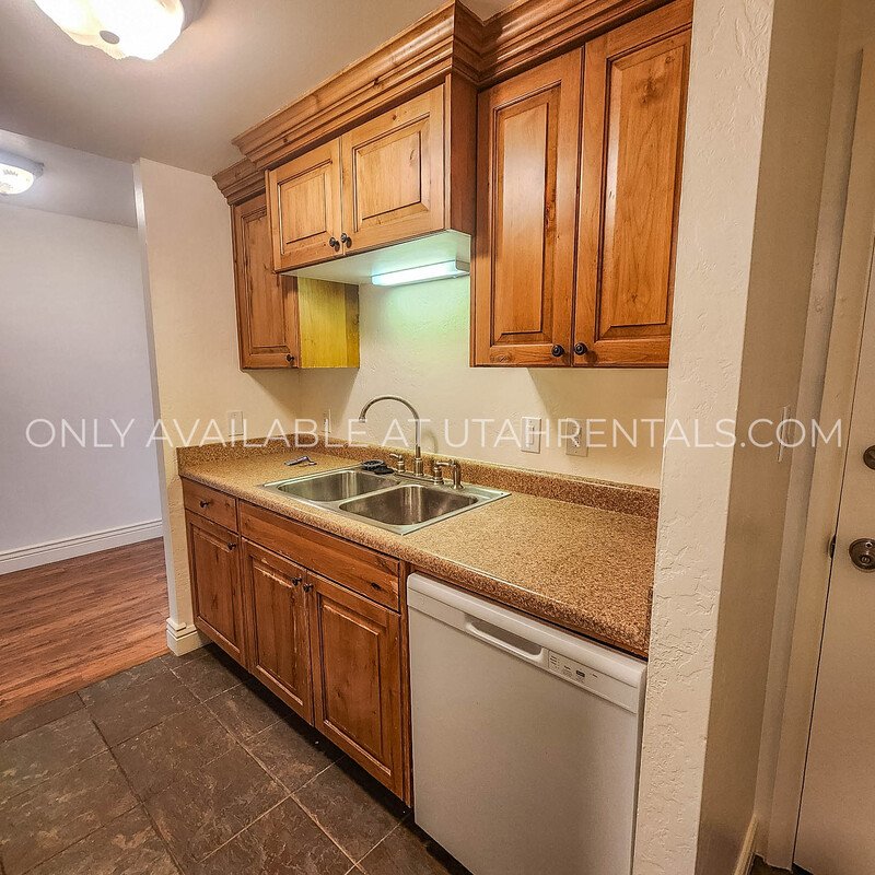 Spacious 1 Bed Apartment in Salt Lake property image