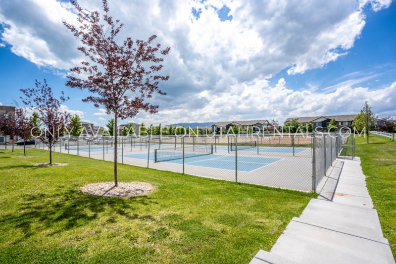 Nice 3 Bedroom in Newer Community! property image