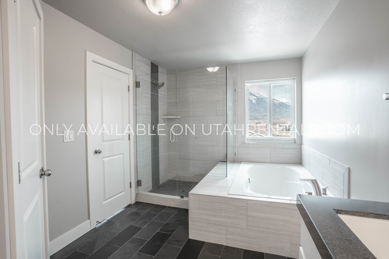 Big and beautiful End-Unit Townhouse property image